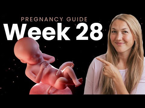 28 Weeks Pregnant | Week By Week Pregnancy