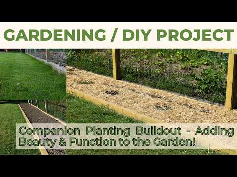 Vegetable Garden Build Out | Companion Planting | Adding Beauty & Function to the Garden!