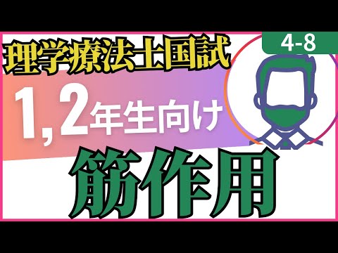 4-8 筋の作用