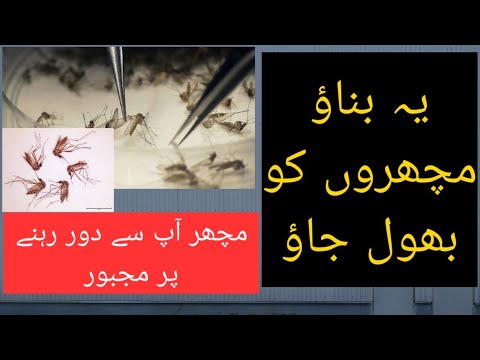 Mosquitoes tips یہ بناؤ مچھروں کو بھول جاؤ