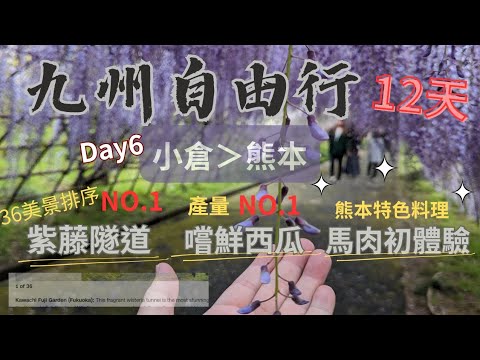 九州自由行12天｜Day6 小倉＞熊本｜河內藤園 紫藤花滿開｜熊本產量No.1植木產的西瓜好多汁｜熊本馬肉初體驗