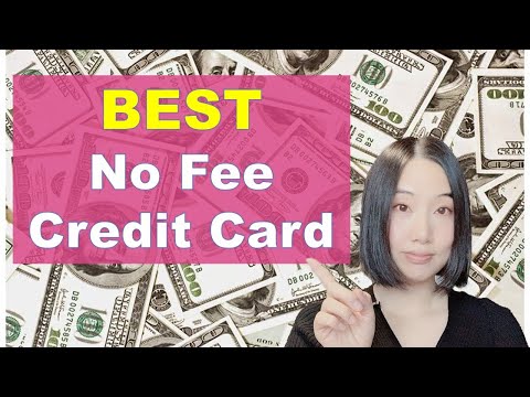 BEST NO FEE Credit Card in Canada |  BEST Credit Card for Beginners |婷婷谈钱 I'm Tingting