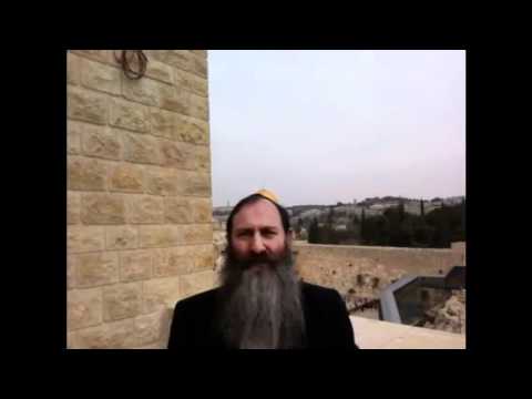 Temple Inside Us - Rabbi Svirsky on Parsha Trumah