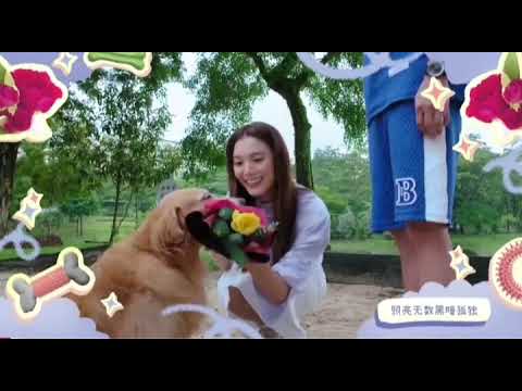 黃慧妮【 You're My Everything 】TV版2024新加坡电视剧《 宠他, 还是爱我 》主题曲 作曲: 黎沸挥 / 作词: 陈晓璇