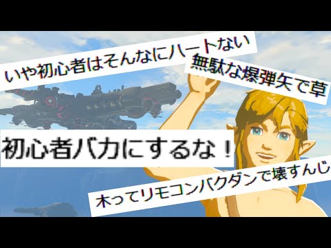 初心者バカにしたらコメントで怒られた【ブレワイ】