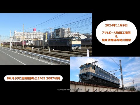 ① 祝！8か月ぶりに運用復帰したEF65 2087号機 関西‐高松巡業に入る。（R6.11.9）