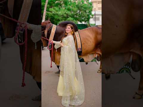 Rabeeca khan pic on Eid-ul-Azha @RabeecaKhan #eidmubarak #eidqurban2024 #qurbani2k21 #shortfeed