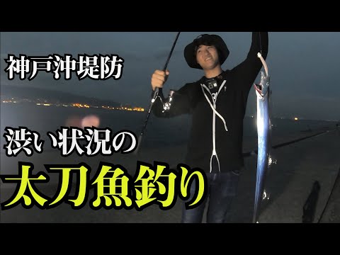 【太刀魚釣り日記1】渋い状況でタチウオを釣りあげる！【神戸ポーアイ沖堤防】