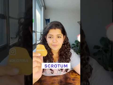 What's the scrotum? #youtubeshorts #penis #drcuterus