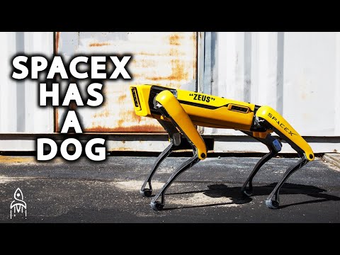 SpaceX's Robot Dog, Zeus | Boston Dynamic's Amazing Robots