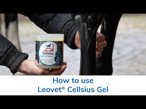 How to use Leovet® Cellsius Gel