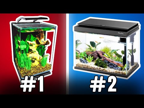 The Best 5 Gallon Fish Tanks (Rated & Reviewed)