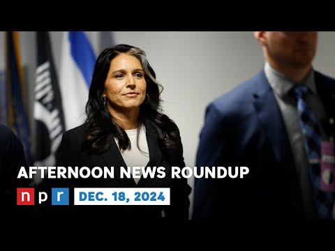 Tulsi Gabbard Meets With Senators Amid Ongoing Opposition | NPR News Now