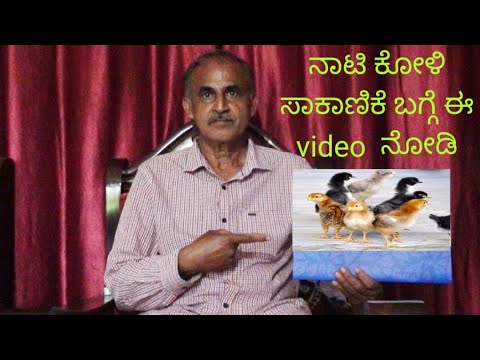 ನಾಟಿ ಕೋಳಿ ಸಾಕಾಣಿಕೆ ಬಗ್ಗೆ ತಿಳಿದುಕೊಳ್ಳಲು ಈ video ನೋಡಿ