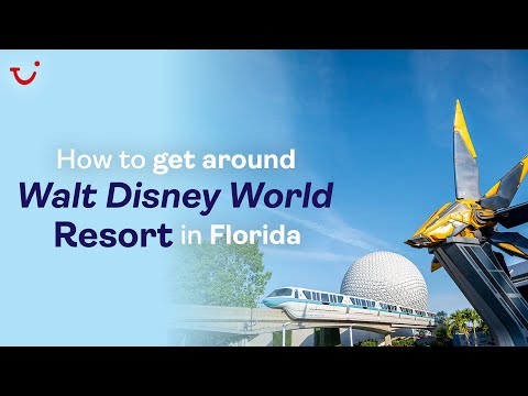 How to Get Around Walt Disney World Resort in Florida | TUI