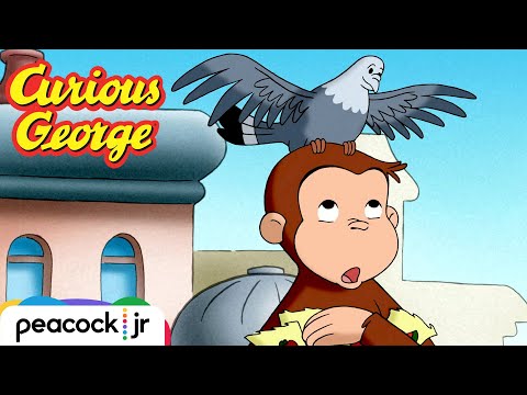 The Birds LOVE George's New Garden | CURIOUS GEORGE