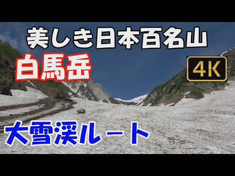 【白馬岳】美しき日本百名山。白馬大雪渓ルート。日本最大の雪渓登りを経て、美しきお花畑へ。