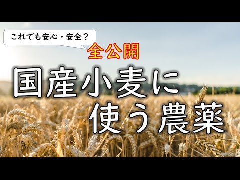 【本当に安全？】国産小麦にラウンドアップ、ネオニコ系農薬が使われている　#国産小麦 #お金 #農薬 #農薬散布 #国産