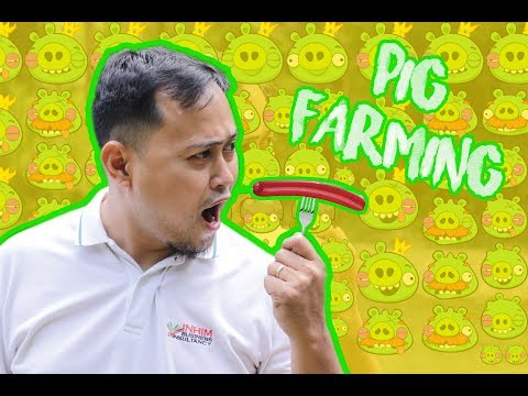 From teaching to farming | Investment Guide Episode 7