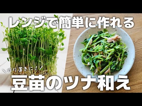 レンジで簡単に作れる！豆苗のツナ和え【お弁当おかず／作り置き】