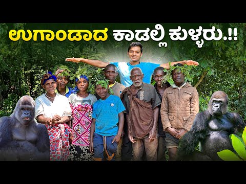 ಗೊರಿಲ್ಲಾಗಳ ಬೇಟೆ.!🦍ಮೂರ್ತಿ ಚಿಕ್ಕದಾದರೂ ಕೀರ್ತಿ ದೊಡ್ಡದು😂| Dr Bro