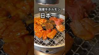 【ホルモン日本一】渋谷の穴場焼肉知ってる？！【渋谷】