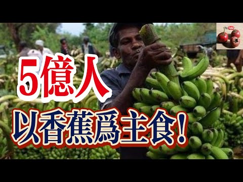 5億人以香蕉為主食！非洲的飲食習慣！【有億思】