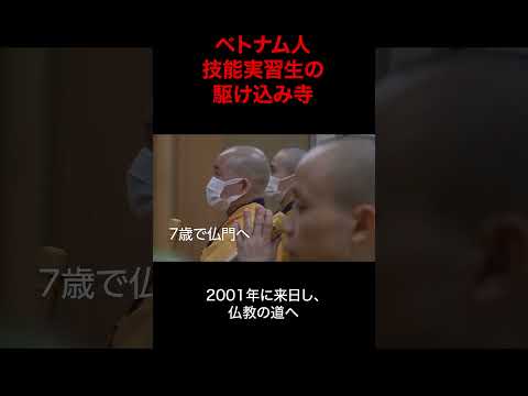 外国人技能実習生を救うお寺 #shorts