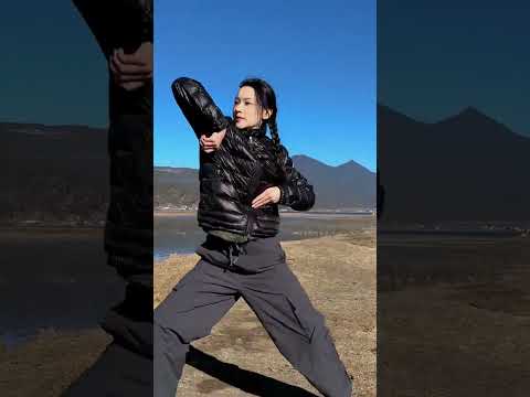 来一套丝滑的太极小连招。 太极拳 内家拳 武术 中华武术博大精深 太极