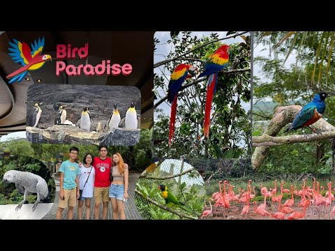 SINGAPORE: BIRD PARADISE - Asia’s Largest Bird Park