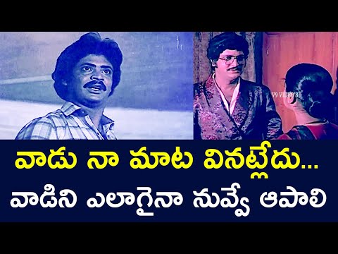 HE IS NOT LISTENING TO ME YOU HAVE TO STOP HIM | MOHAN BABU | RADHIKA | V9 VIDEOS