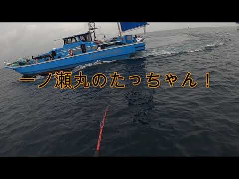 2020/8/23　城ヶ島沖スルメと鯛（儀兵衛丸）