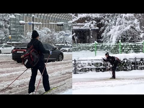 "Man Skis to Work Through 40cm Snowstorm in Seoul – Proving Koreans Never Skip a Day!"