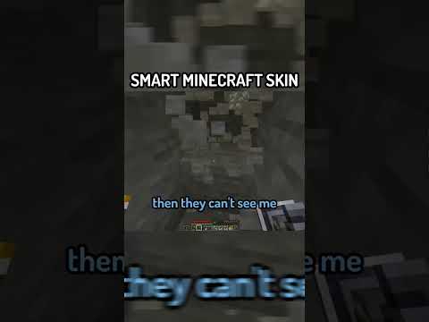 200 IQ Minecraft skin... #shorts