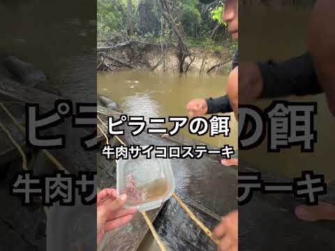 [親子で世界2周目]ペルー②アマゾン