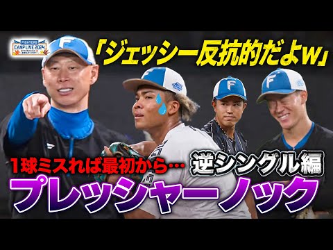 森本稀哲「10球NOエラーね」締めのノックは緊張感…水谷・今川・矢澤が冷や汗＜11/7ファイターズ秋季キャンプ2024＞