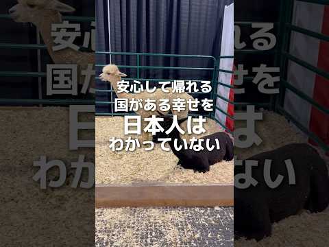 国ガチャ大当たり！