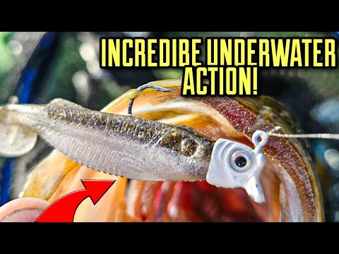 This Swimbait Secret Catches Cold Water Bass!