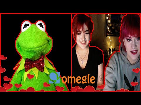 Kermit looks for a valentine on Omegle