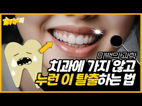 [꿀TIP톡 EP5] ‘이것’을 매일 ‘OO’하면? 누런 이를 하얗게 만들 수 있습니다!