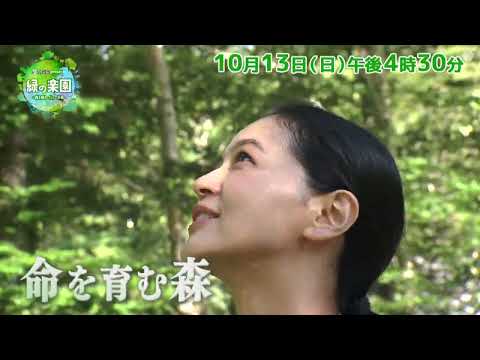 PR　リンタツｐｒｅｓｅｎｔｓ　緑の楽園　～森を育むちいさな命～　2024年10月13日（日）16：30～放送