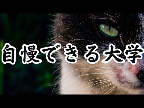 【入学したらすごい大学TOP10】東京の私立大学ランキング！穴場を探せ！