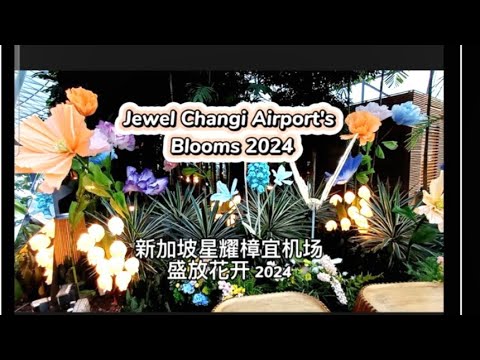 新加坡星耀樟宜机场 花开盛放2024 Singapore Changi Airport's Jewel Flowers Blooms