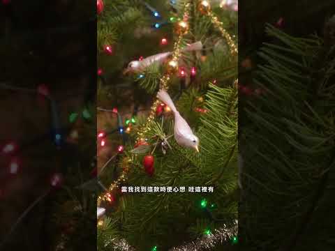 在家DIY精心打造夢幻聖誕樹🎄！