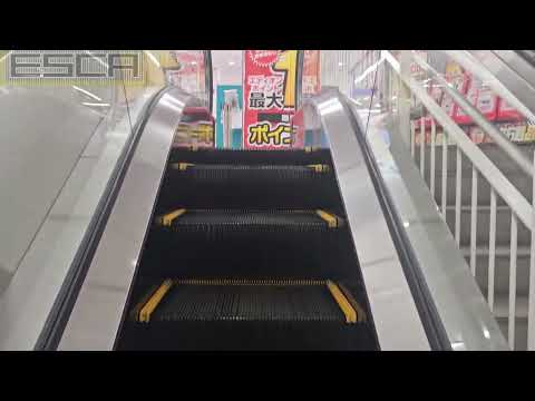 Edion Seya Store Escalator 1F-2F Toshiba