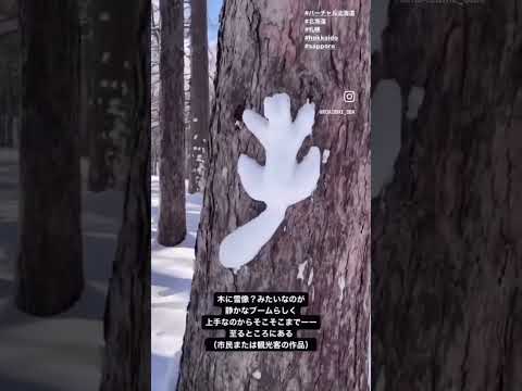 【四十路ダイエット】ウォーキング中の記録【札幌ぶらり旅】