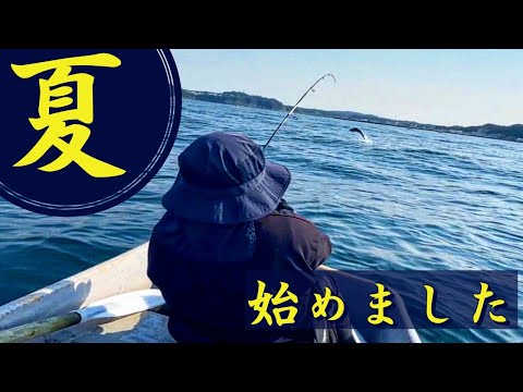 あのルアーで狙い打つ!!夏の葉山は表層乱れ狂う魚群