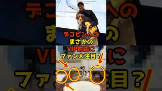 デコピンがまさかの「VIP対応」すぎてファン大注目！？#大谷翔平#デコピン#shorts