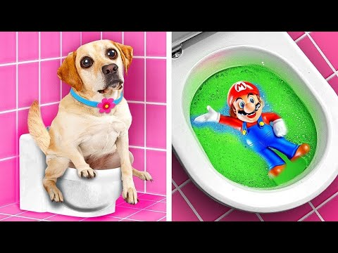 Homeless Dog Was Adopted by Super Mario 😱❤️ Hacks for Pet Owners by HACKIT