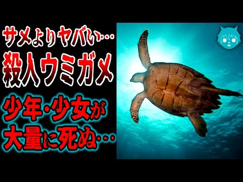 【異常】ウミガメから災害レベルの死者が出続けている理由